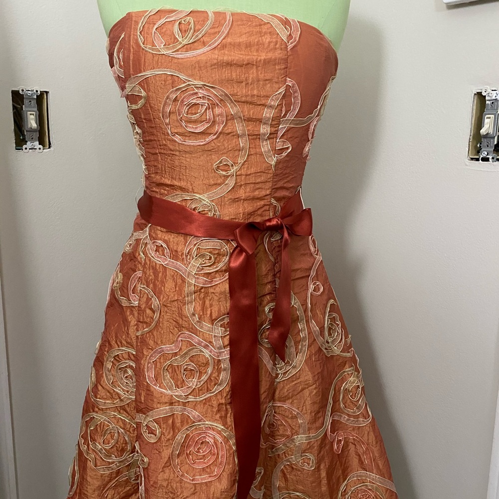 Jessica McClintock dress